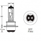 BPF P36D SHIELD HALOGEN: British Pre-focus P36D base Halogen bulb with twin filament and filament shield from £0.01 each